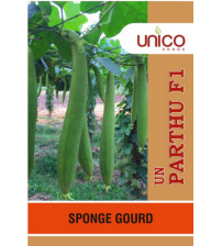 SpongeGourd / Galki UN Parthu 10 grams